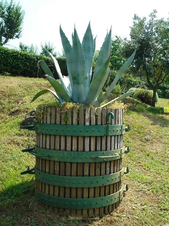 Farm stay Agriturismo La Vigna Villa San Gimignano